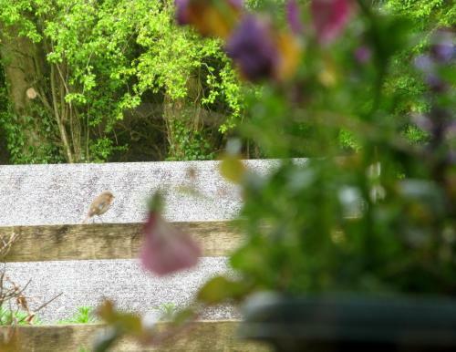 Gormagh B&B