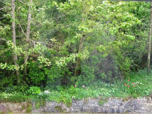 Gormagh B&B