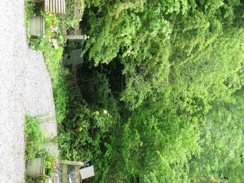 Gormagh B&B