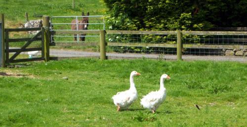 Valley Lodge Farm Hostel