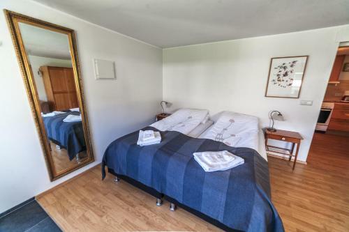 S�lheimar Studio Apartment