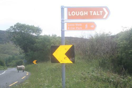Bed & Breakfast Haggart Lodge