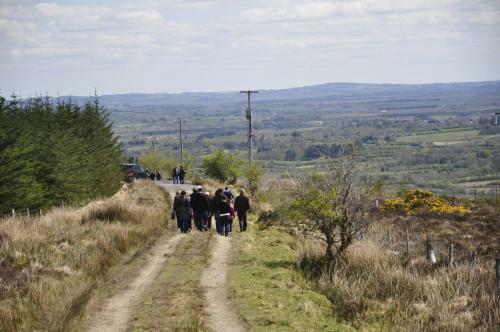 Bed & Breakfast Haggart Lodge