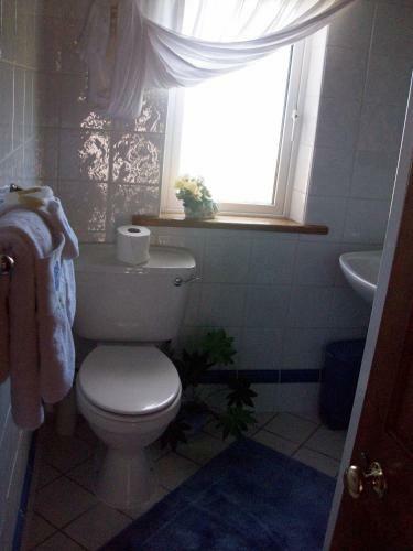 Hostal The Shores Country House