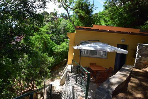 Apartamento Albarosa