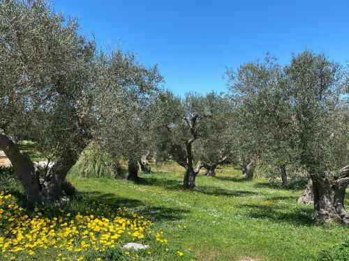 Agroturismo Trullo Mastricale - Trullo Con Piscina Privata