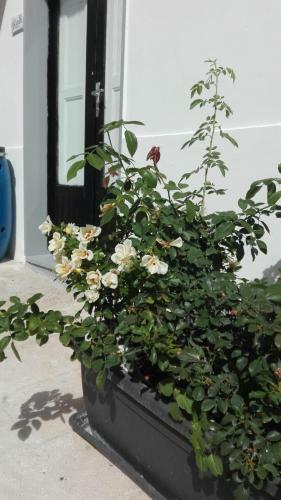 Hostal Only For Two Giumbabulla