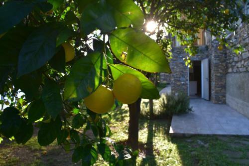 Apartamento Brezza Di Mare.