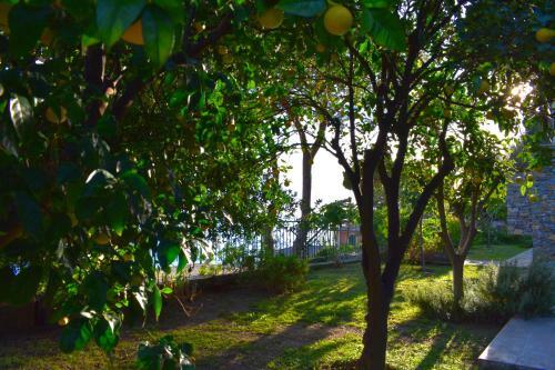 Apartamento Profumo Di Limoni