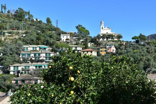 Apartamento Profumo Di Limoni
