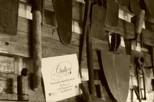 Giuliva B&B