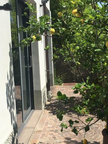 Millys Riva Apartments