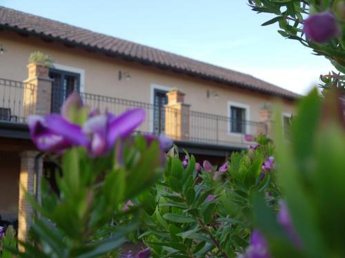 Hostal Luxardotel