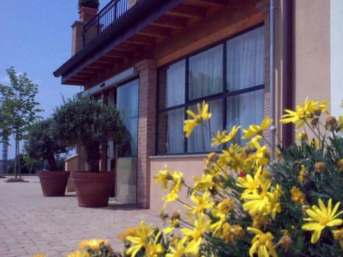Hostal Luxardotel