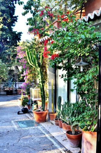Il Boom B&B
