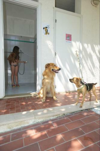 Camping Villaggio Gilda