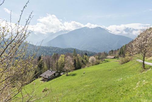 Baita Rustica Immersa Nel Verde