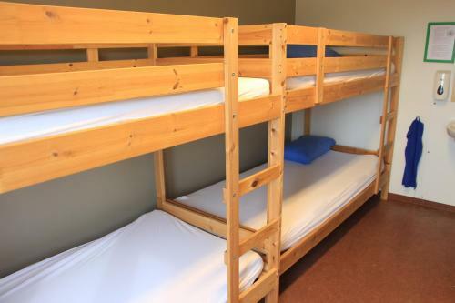 Lava Hostel
