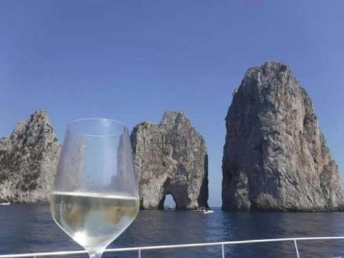 Akhir Cruise Charter