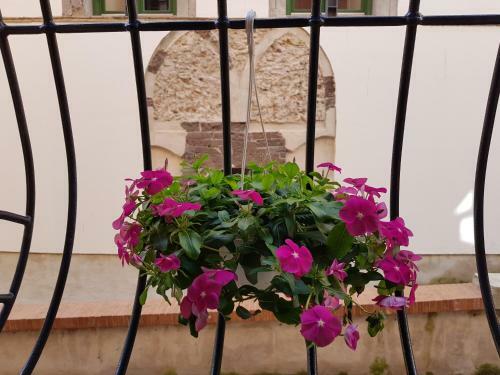 Apartamento Le Petit Bouganville