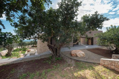Villa Nemini Teneri