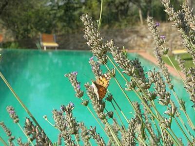 San Casciano In Val Di Pesa Villa Sleeps 2 Pool