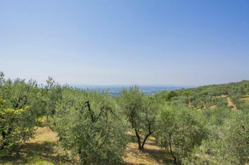Apartamento Altido La Casetta Sulla Collina, Il Cipresso