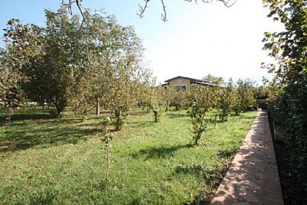 San Cipriano Picentino Villa Sleeps 5 Pool Air Con