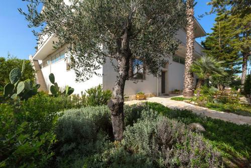 B&B Le Radici Del Salento Luxury Rooms