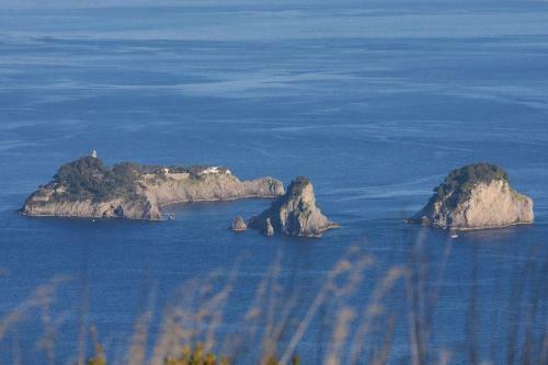 Amore Rentals - Villa Ligea