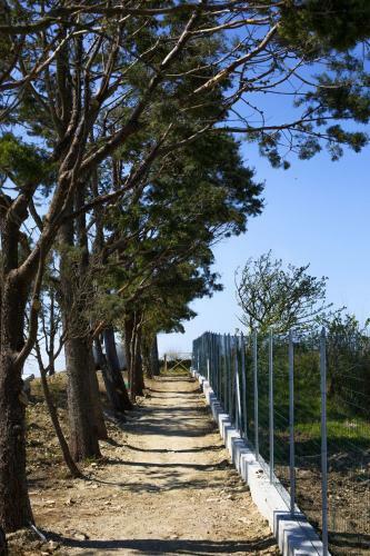 Amore Rentals - Villa Ligea