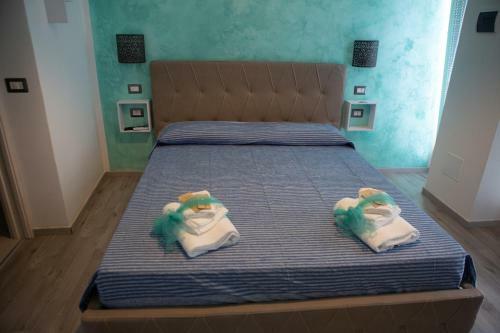 B&B Dionea