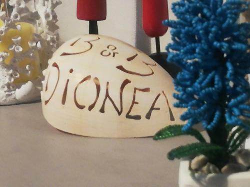 B&B Dionea