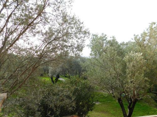 Apartamento Verde Mare Beach Holidays