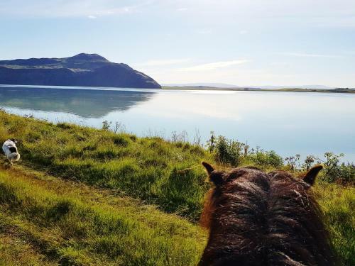 Vorsab�r 2 Holiday Home