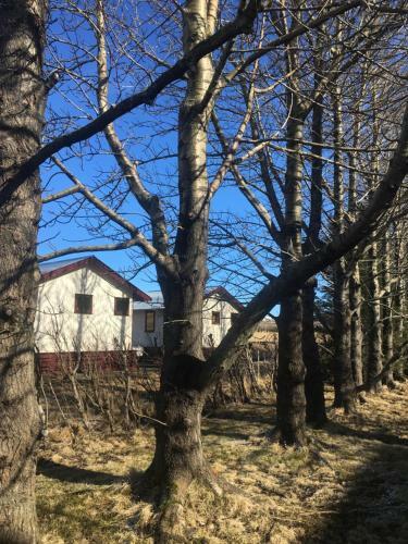 Hostal Guesthouse H�sid