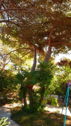 Hostal Le Camere Del Giardinetto