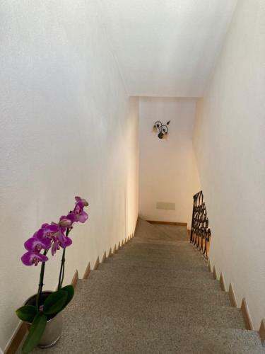 La Residenza Di Gi�