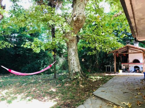 Bed & Breakfast I Poggi Di S.caterina