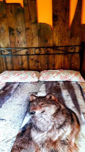 Hotel Albergo Dal Cogo