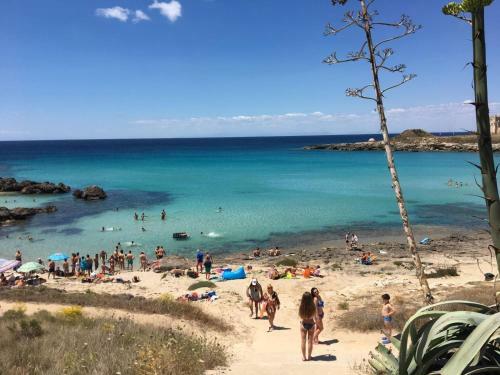 Casamar�