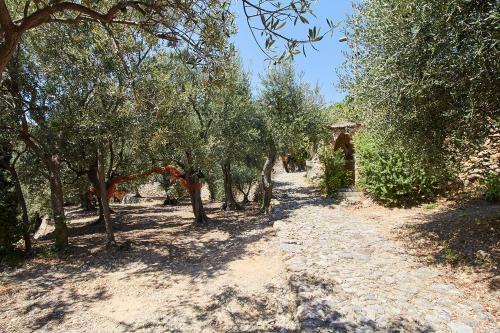 Apartamento Villa Vista Mare Il Cipressetto