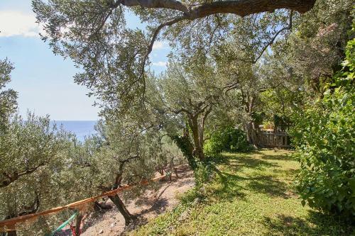 Apartamento Villa Vista Mare Il Cipressetto