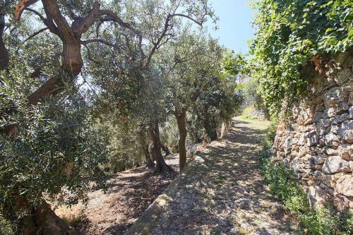 Apartamento Villa Vista Mare Il Cipressetto