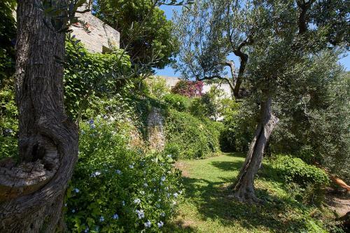 Apartamento Villa Vista Mare Il Cipressetto