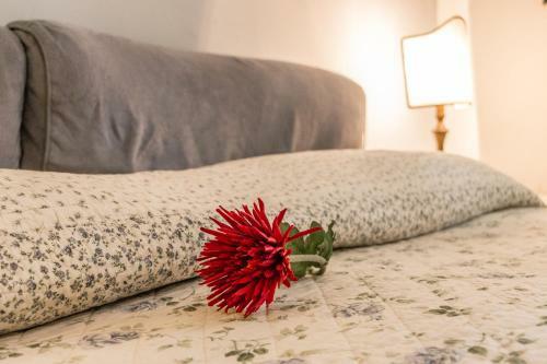 Apartamento Ca' Dei Mori