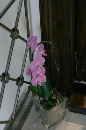 Bed & Breakfast Il Melograno
