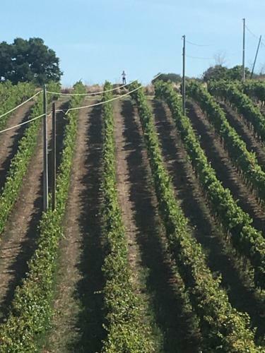 Agroturismo Agriturismo Tenuta Lagala