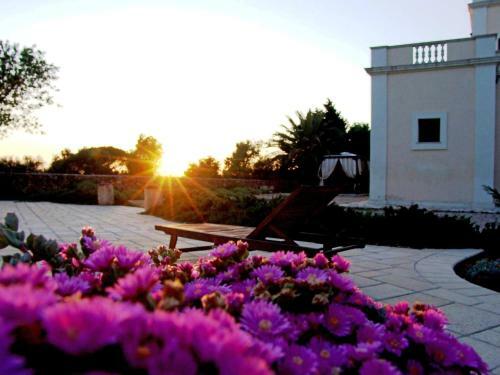 Villa Locazione Turistica Tenuta Nucci