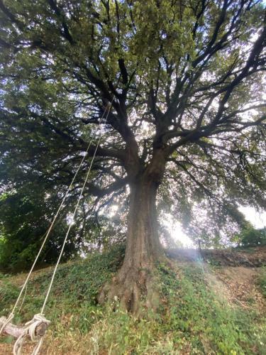 Agroturismo Antico Casale Edifizio